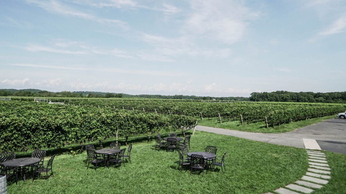 Day Trips and Travels Macari Vineyards Outdoor Tables