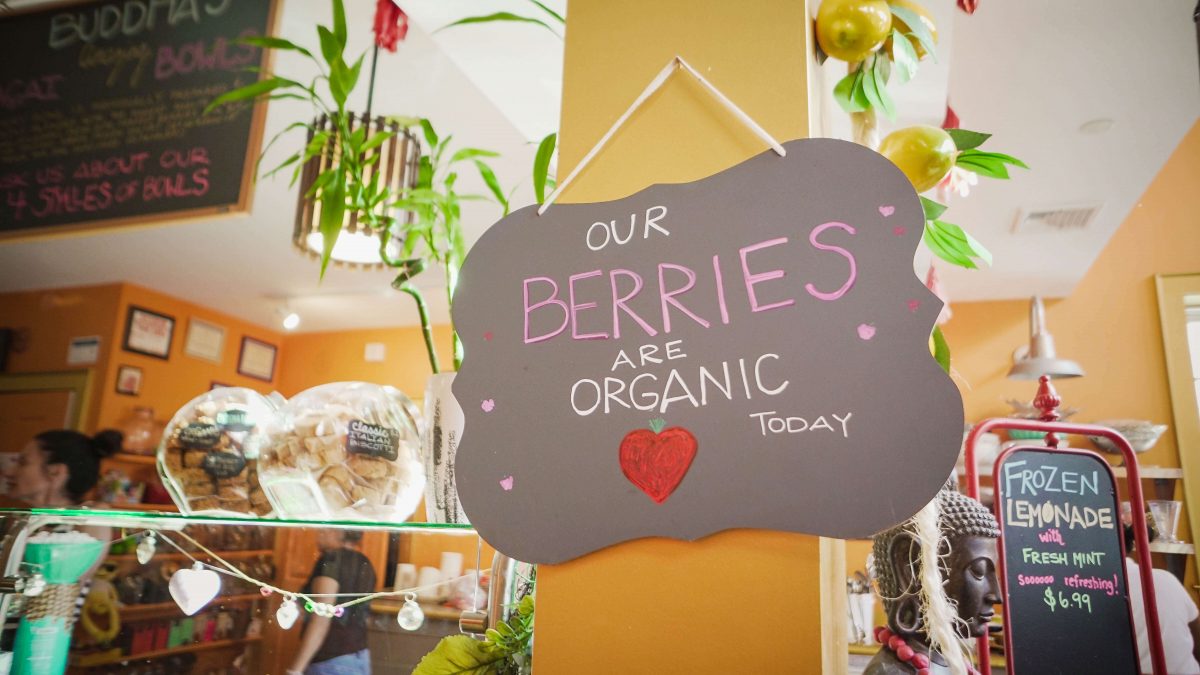 Day Trips and Travel Sag Harbor Buddha Berry Desserts Organic