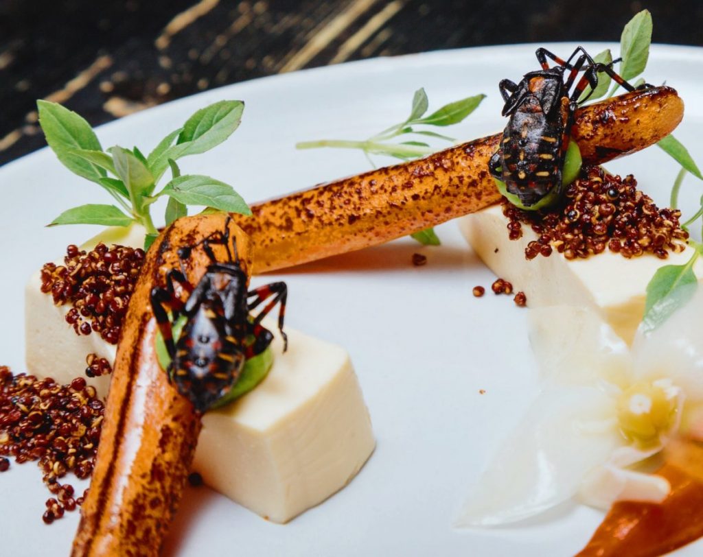 Dining NYC Food Trends Insects Black Ant