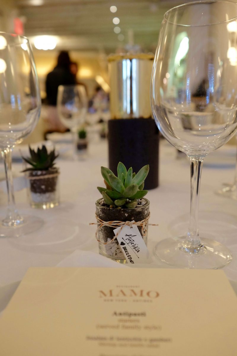 Our Experts Recaps Brick and Portal Blogger Brunch Mamo Succulent