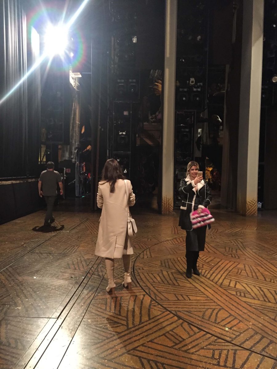 Our Experts Recaps Lion King Backstage Meet and Greet FHits Brazilian Bloggers Exploring