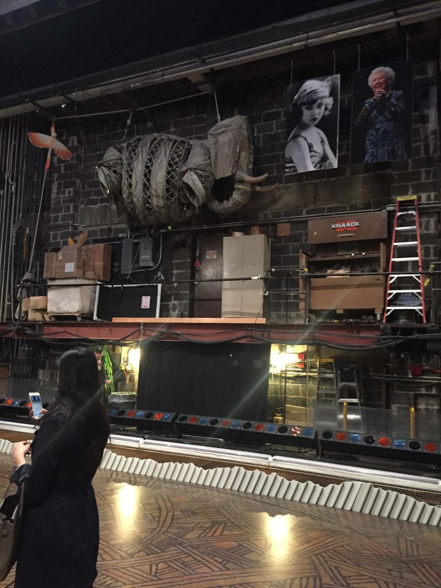 Our Experts Recaps Lion King Backstage Meet and Greet FHits Brazilian Bloggers Props