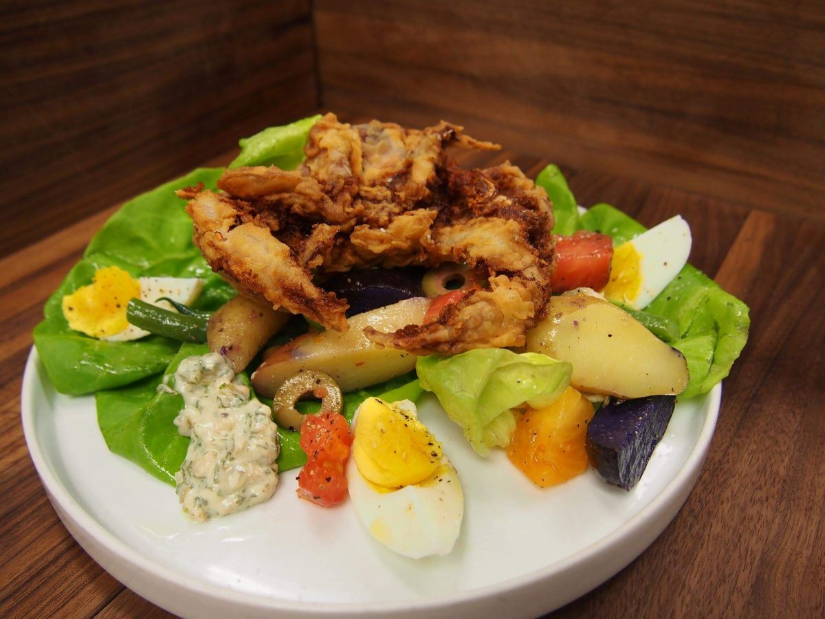 Our Experts Recaps Vail Bol Appetizer