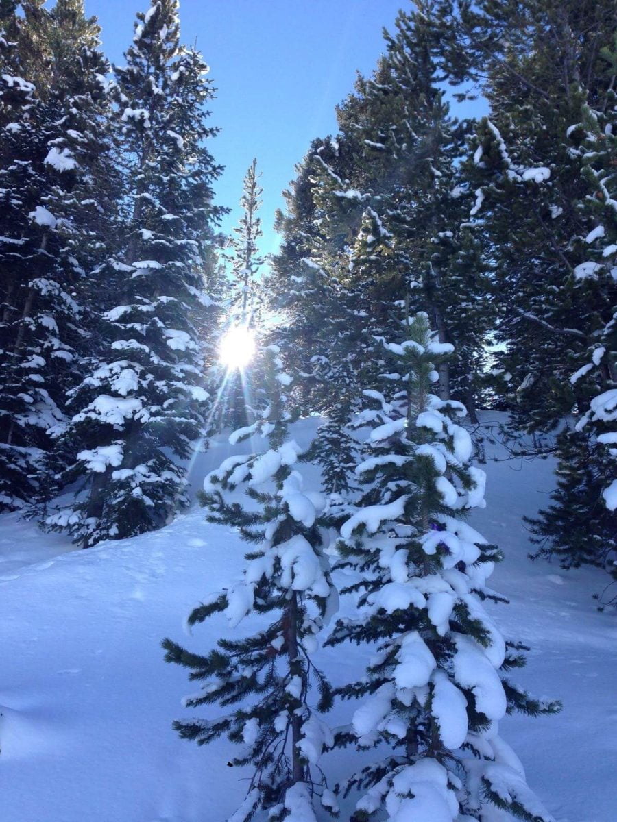 Our Experts Recaps Vail Mountain Top