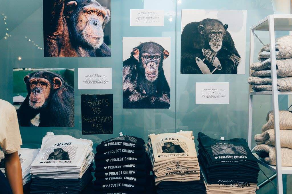 Shop Ladies and Gents Vaute Vegan Fashion Project Chimps