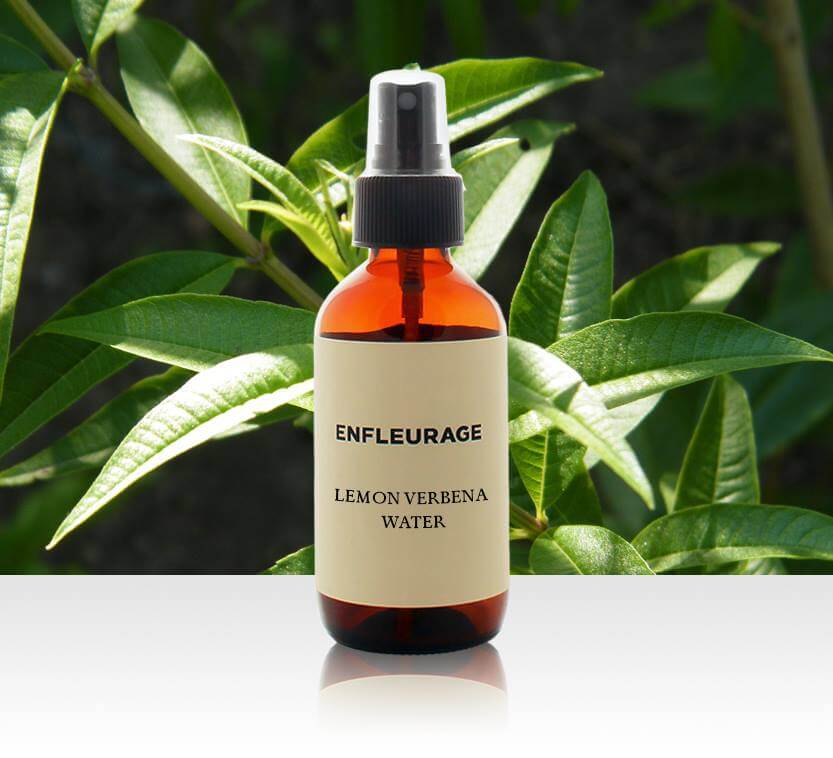 Shop Specialties Enfleurage Essencial Oils in New York Lemon Verbena Water
