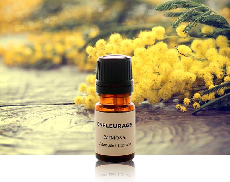 Shop Specialties Enfleurage Essencial Oils in New York Mimosa