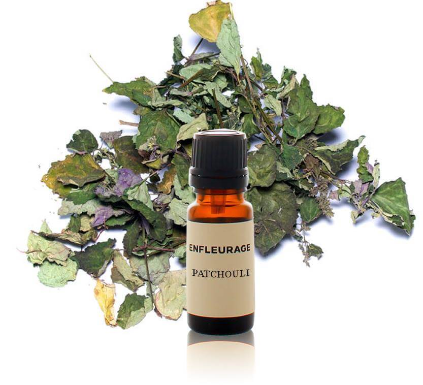 Shop Specialties Enfleurage Essencial Oils in New York Patchouli