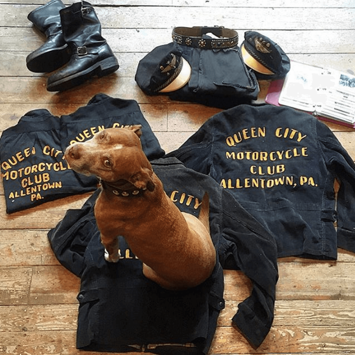 Shop Ladies and Gents Stock Vintage Motorcycle Club Dog